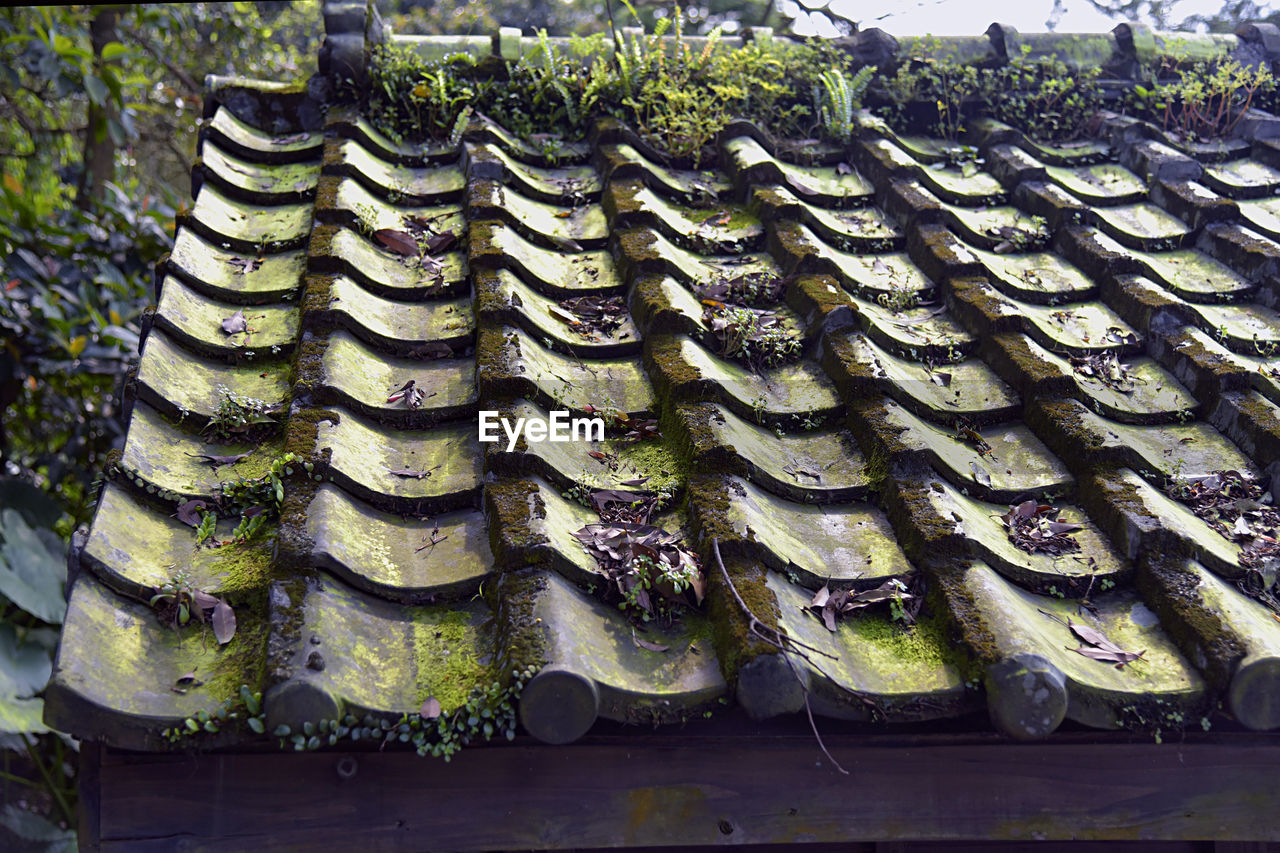 HIGH ANGLE VIEW OF FISH FOR SALE IN MARKET