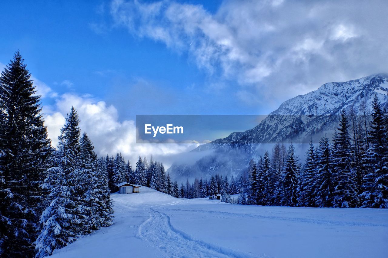 Snow covered field by trees and mountain against sky