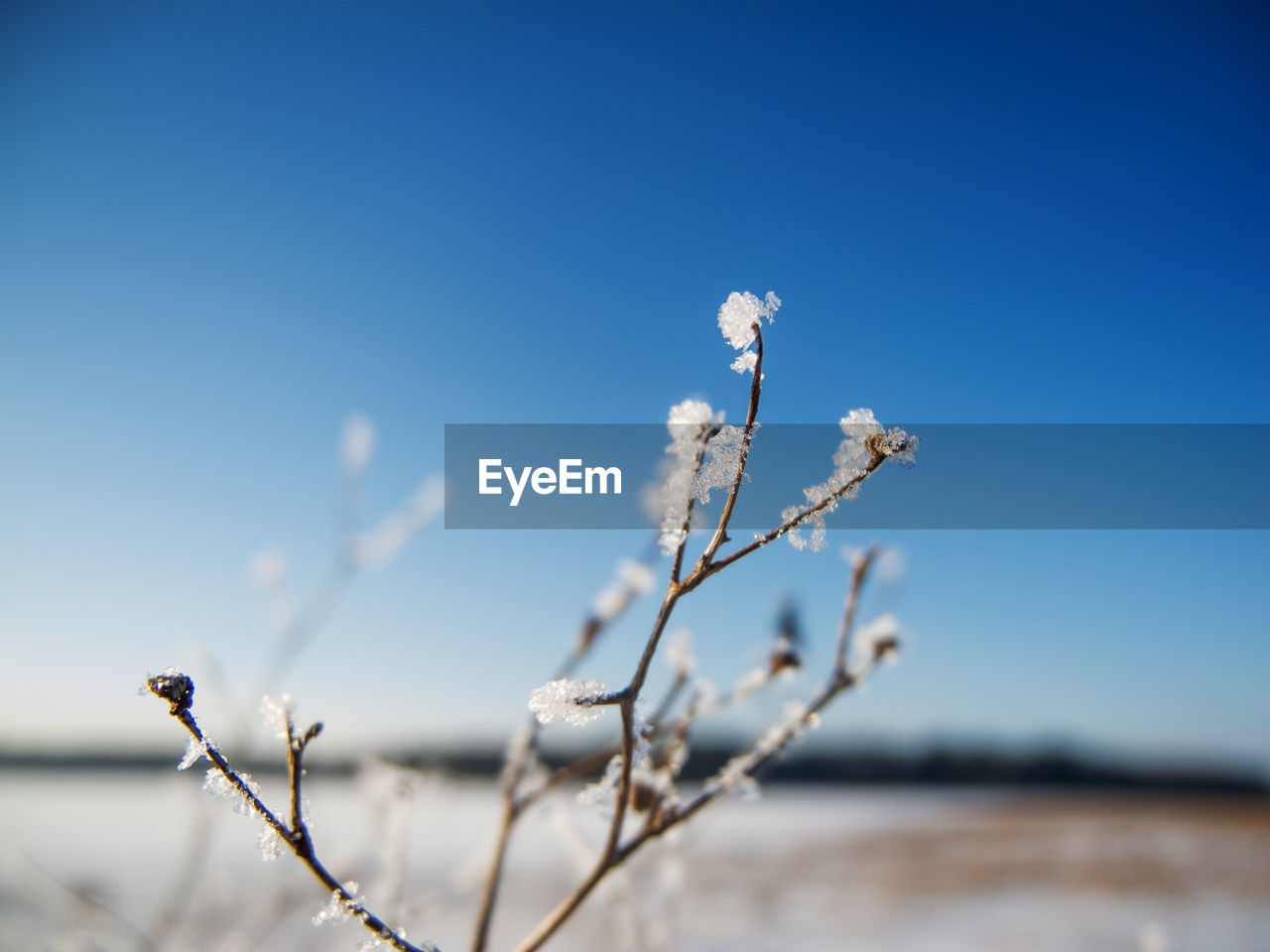 Leafless branch ice with crystals and blurred winter landscape with blue sky and sunshine. 