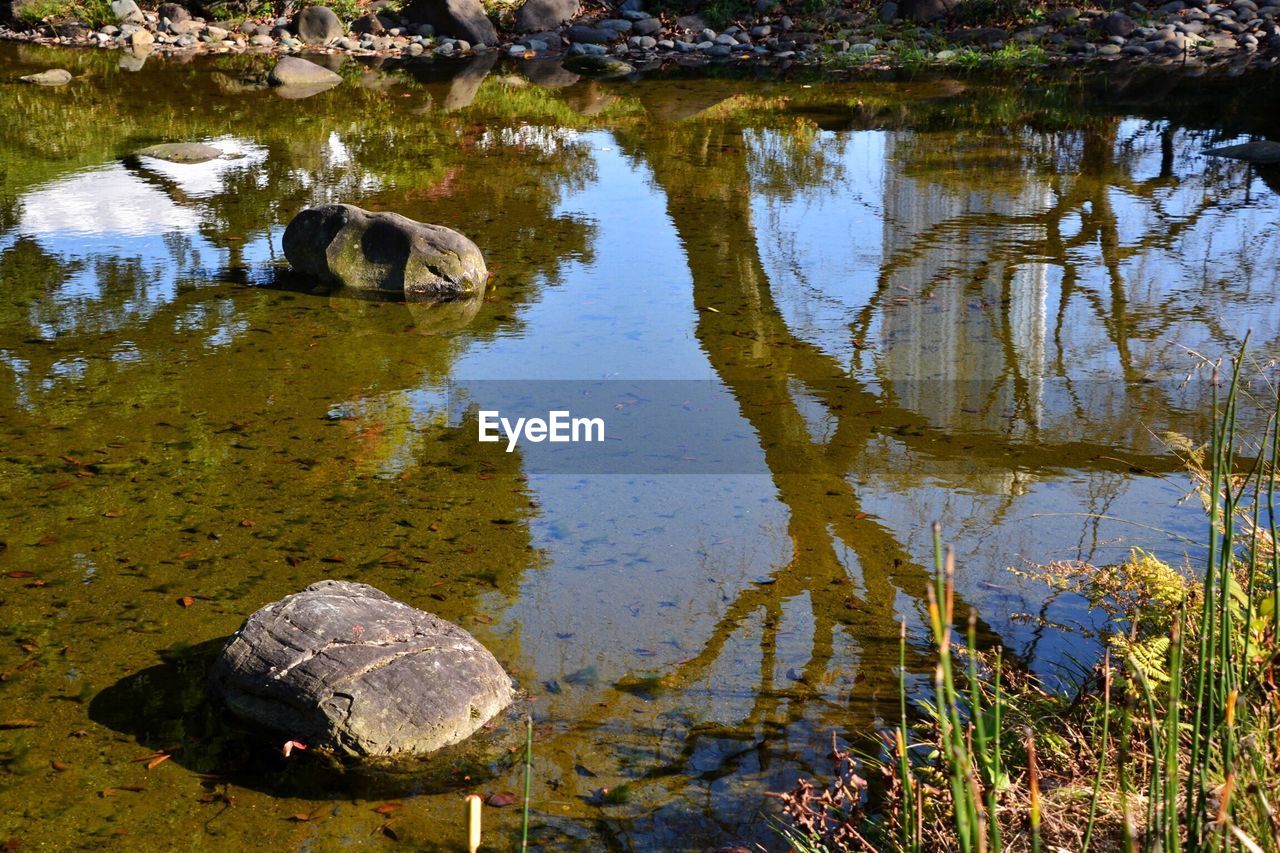 View of rocks in lake