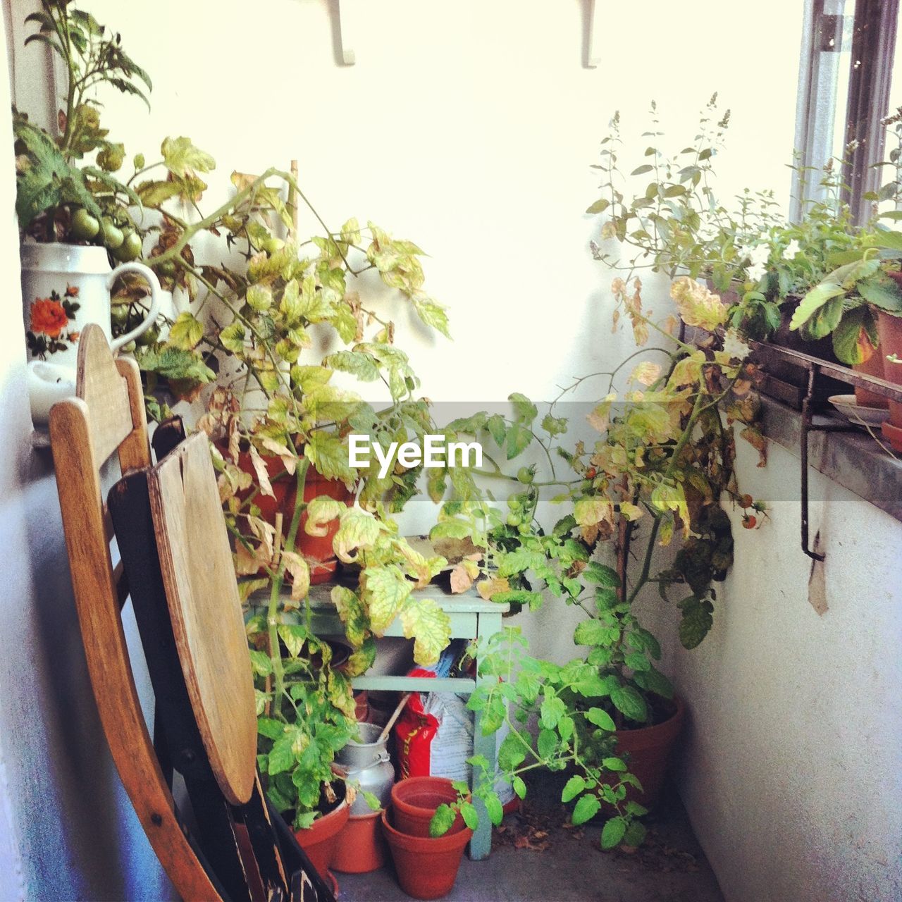 TREES AND PLANTS IN BALCONY