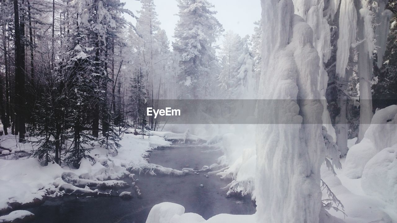 Scenic view of snow covered landscape