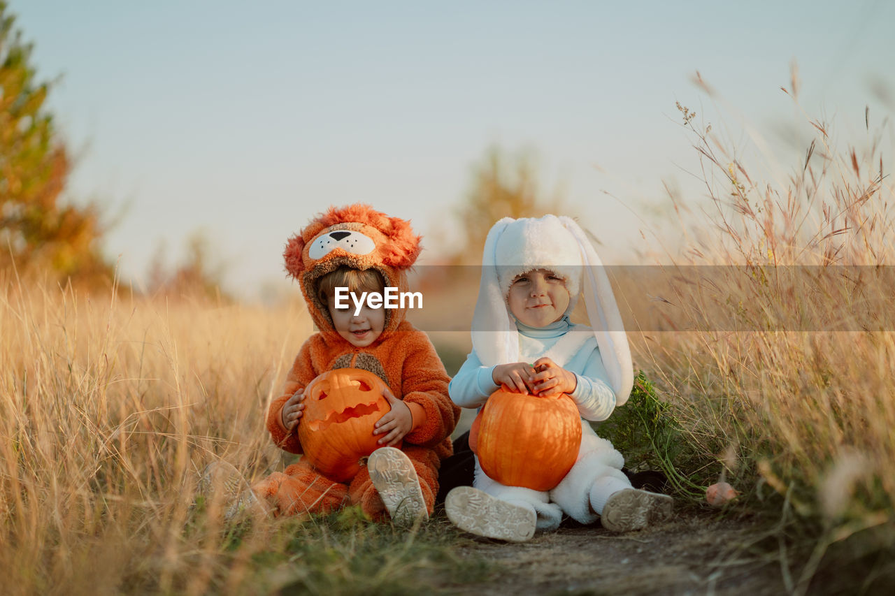 Full frame shot of pumpkin on field against sky