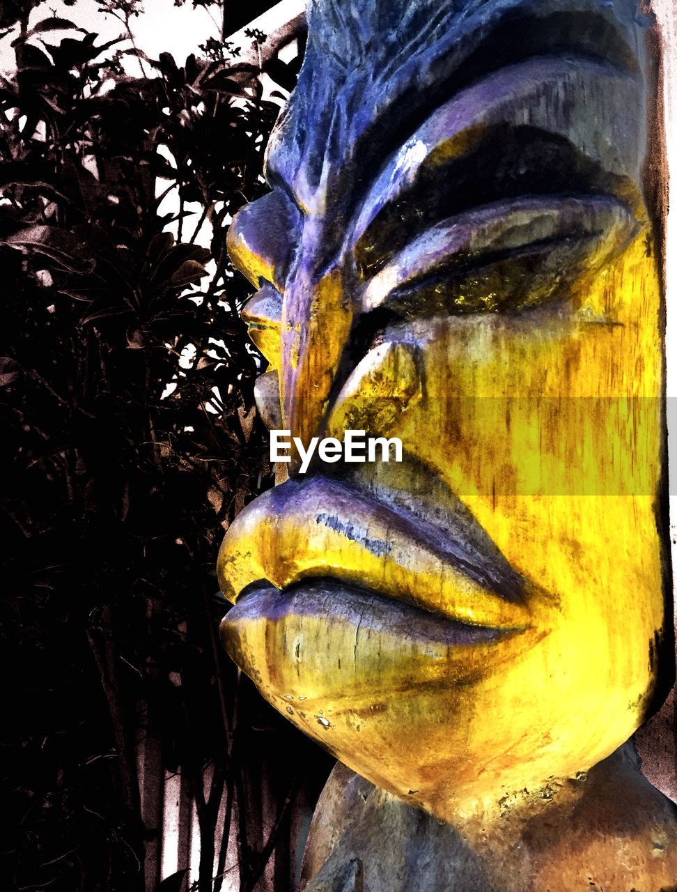 CLOSE UP OF YELLOW