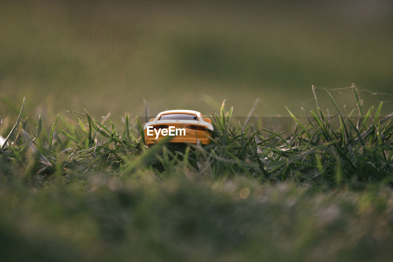 Close-up of toy car on field