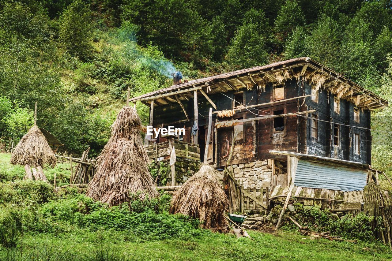 OLD WOODEN HOUSE ON FIELD AGAINST TREES