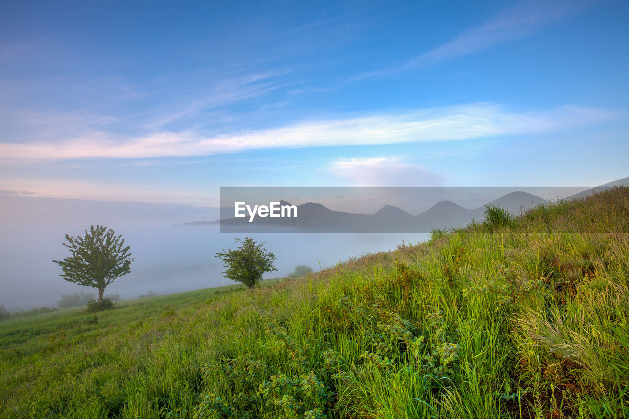 Spring landscape in the morning fog, central bohemian upland, czech republic.