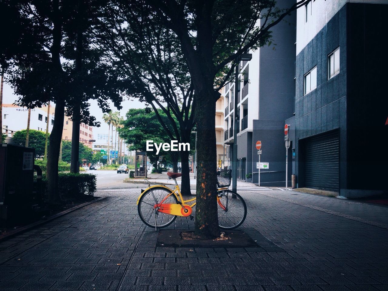 Bicycle in the city