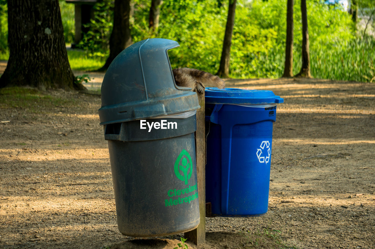 CLOSE-UP OF GARBAGE BIN AGAINST TREES AND BLUE WALL