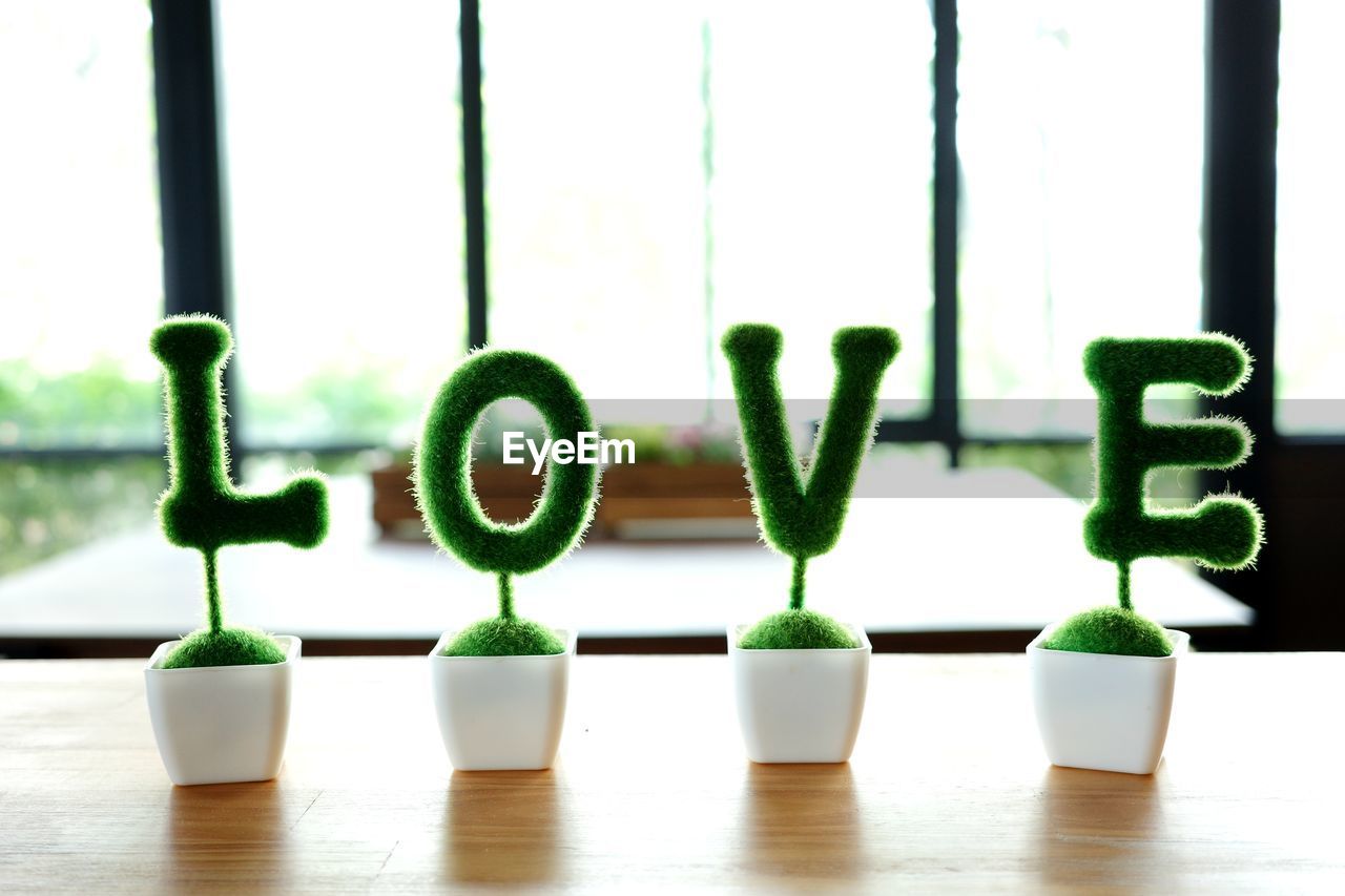 green, indoors, window, no people, flowerpot, table, nature, plant, lighting, growth, day, potted plant, glass, houseplant, in a row, group of objects