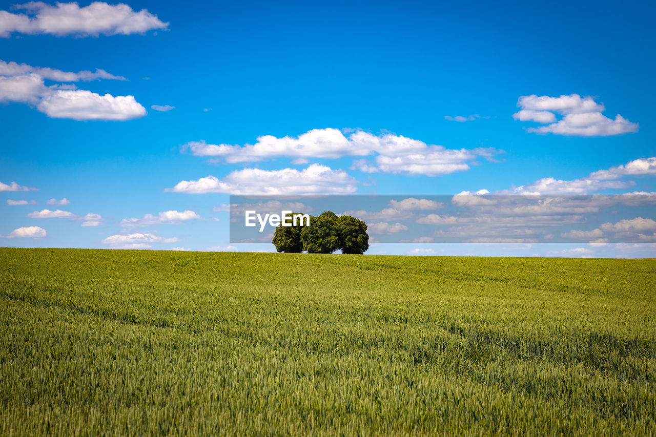 SCENIC VIEW OF FARMS AGAINST SKY