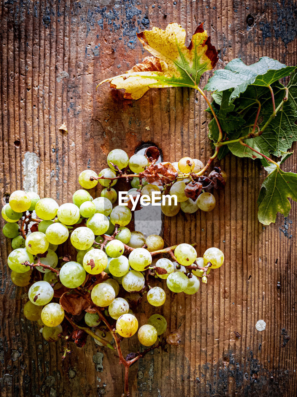 HIGH ANGLE VIEW OF GRAPES ON TABLE