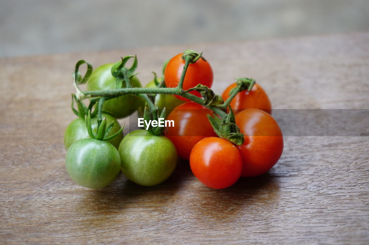 Close-up of tomatoes on table