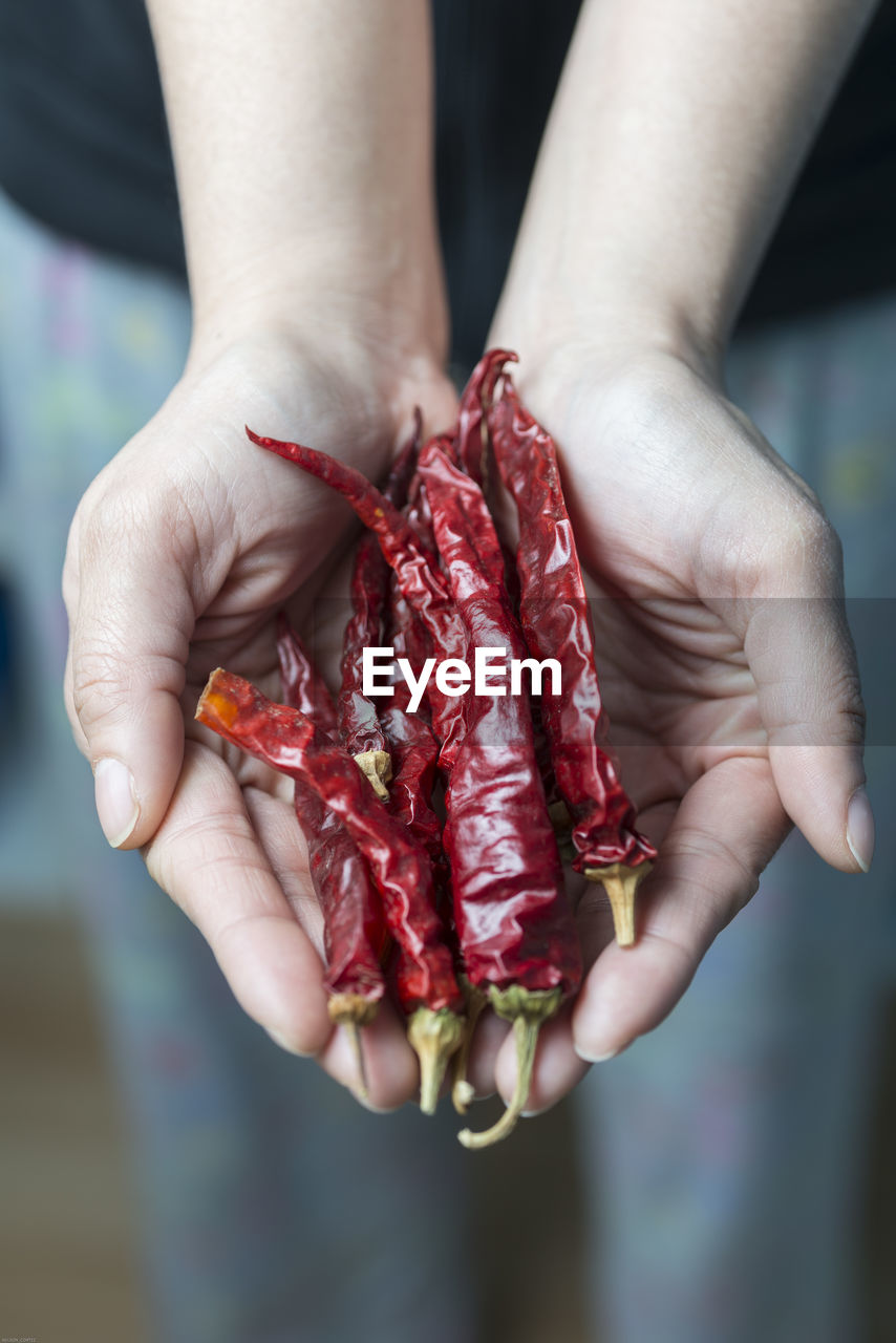Midsection of woman holding red chili peppers