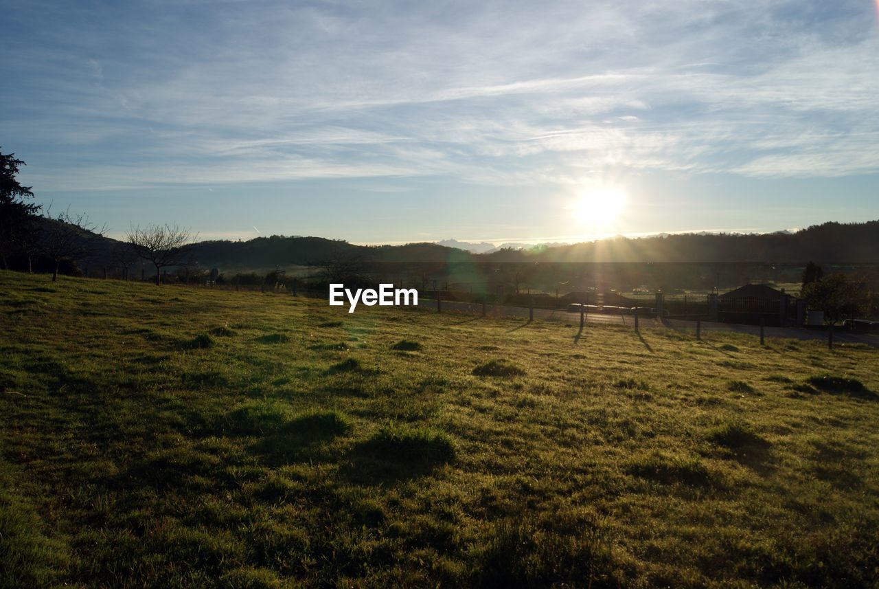 SCENIC VIEW OF GRASSY FIELD AGAINST BRIGHT SUN