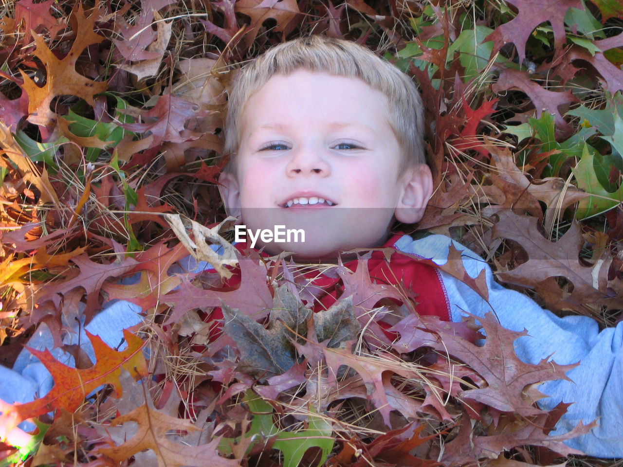 Directly above shot of boy lying amidst fallen autumn leaves on field