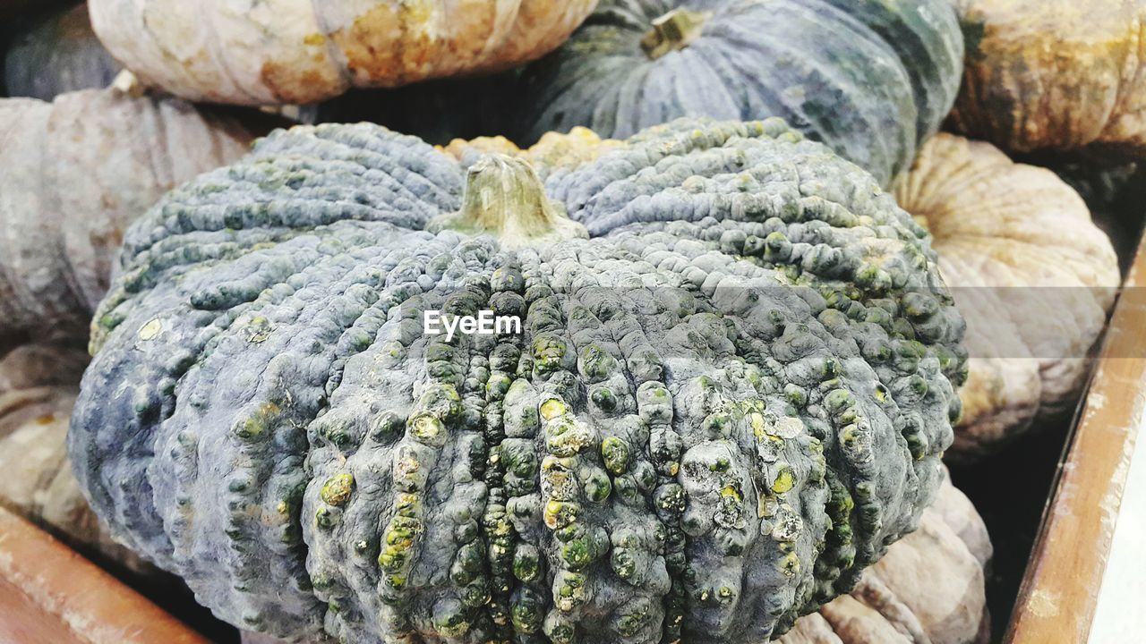 HIGH ANGLE VIEW OF PUMPKINS FOR SALE AT MARKET