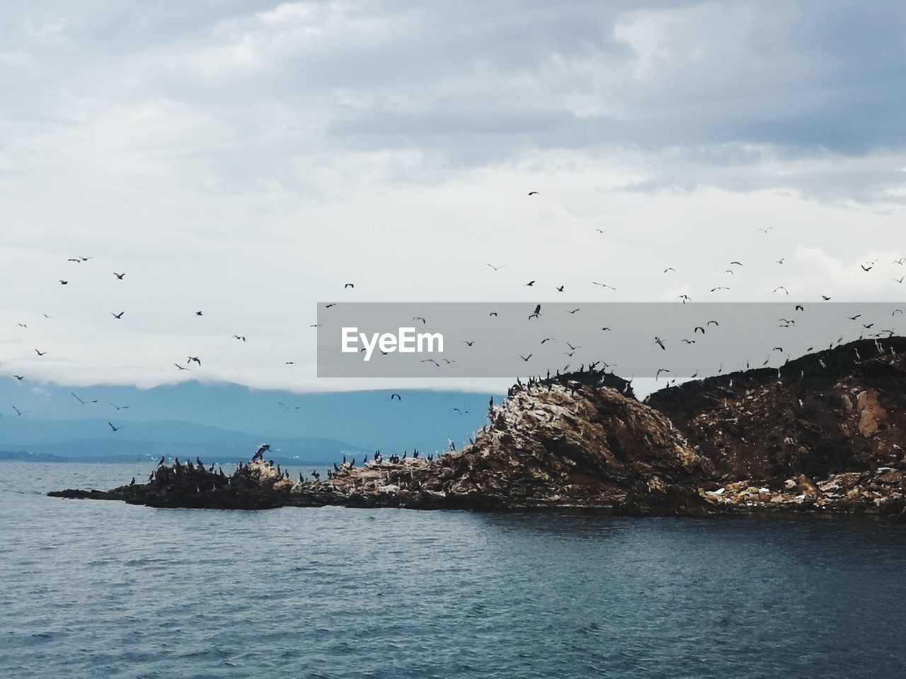 FLOCK OF BIRDS FLYING OVER SEA AGAINST SKY