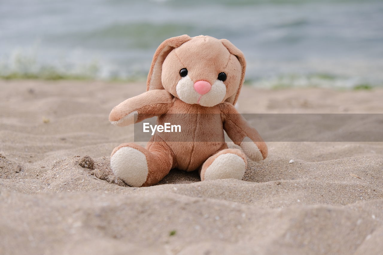 toy, sand, beach, land, stuffed toy, representation, childhood, nature, sea, teddy bear, holiday, animal representation, water, day, skin, animal, fun, cute, outdoors, close-up