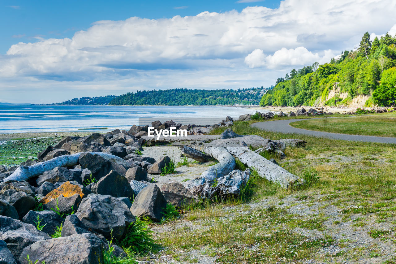 Rock line the at saltwater state park in des moines, washington.