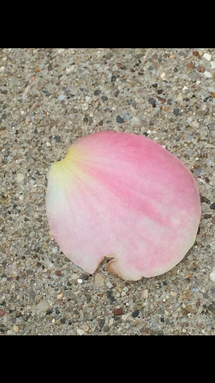 CLOSE-UP OF RED HEART SHAPE ON GROUND