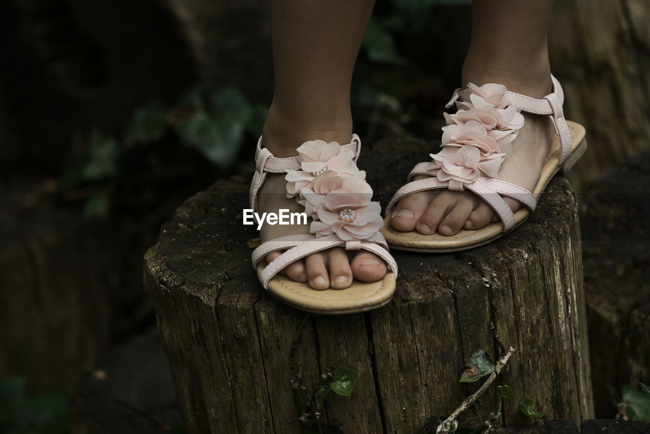 Low section of girl wearing floral sandals standing on tree stump