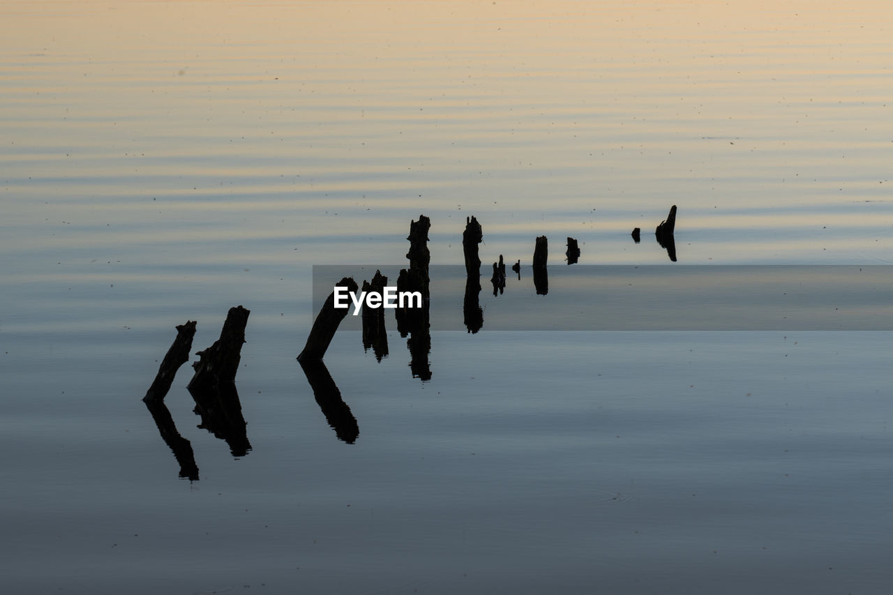 SILHOUETTE BIRDS ON LAKE AGAINST SKY