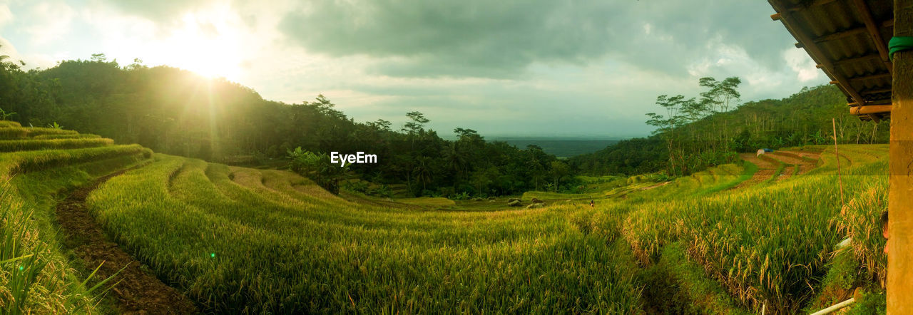 Panoramic shot of agricultural field against sky