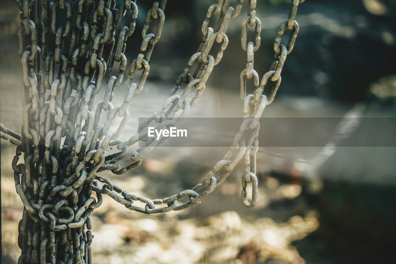 CLOSE-UP OF FROZEN PLANT