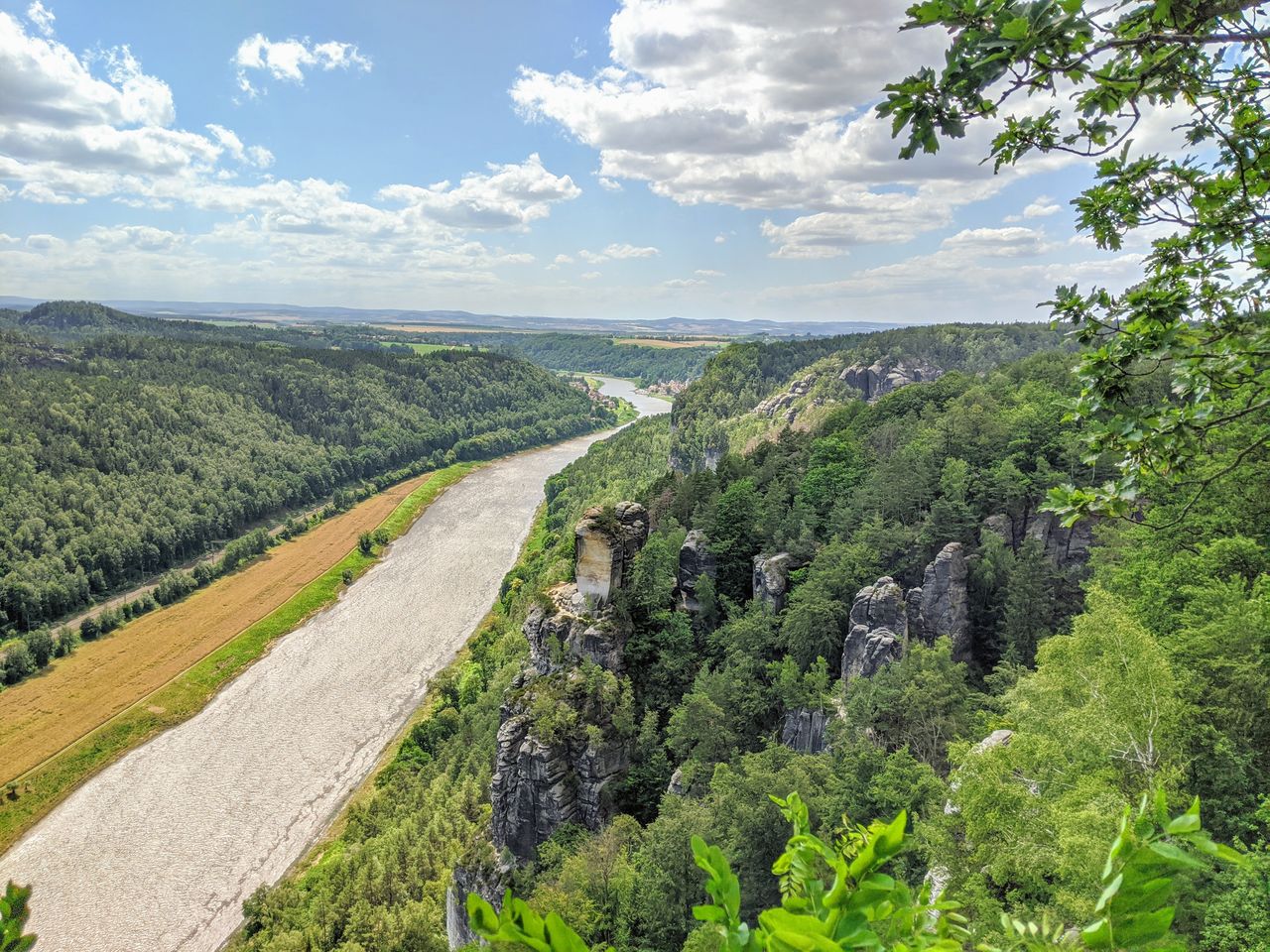 SCENIC VIEW OF TREES AND LANDSCAPE AGAINST SKY