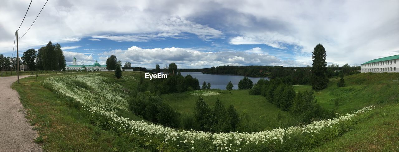 PANORAMIC SHOT OF TREES ON LANDSCAPE AGAINST SKY