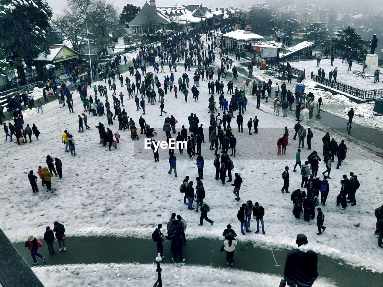 High angle view of people in snow