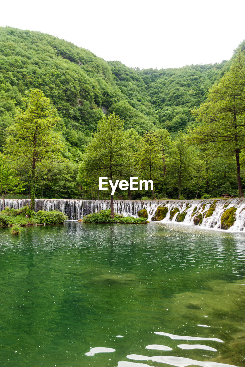 SCENIC VIEW OF LAKE BY TREES