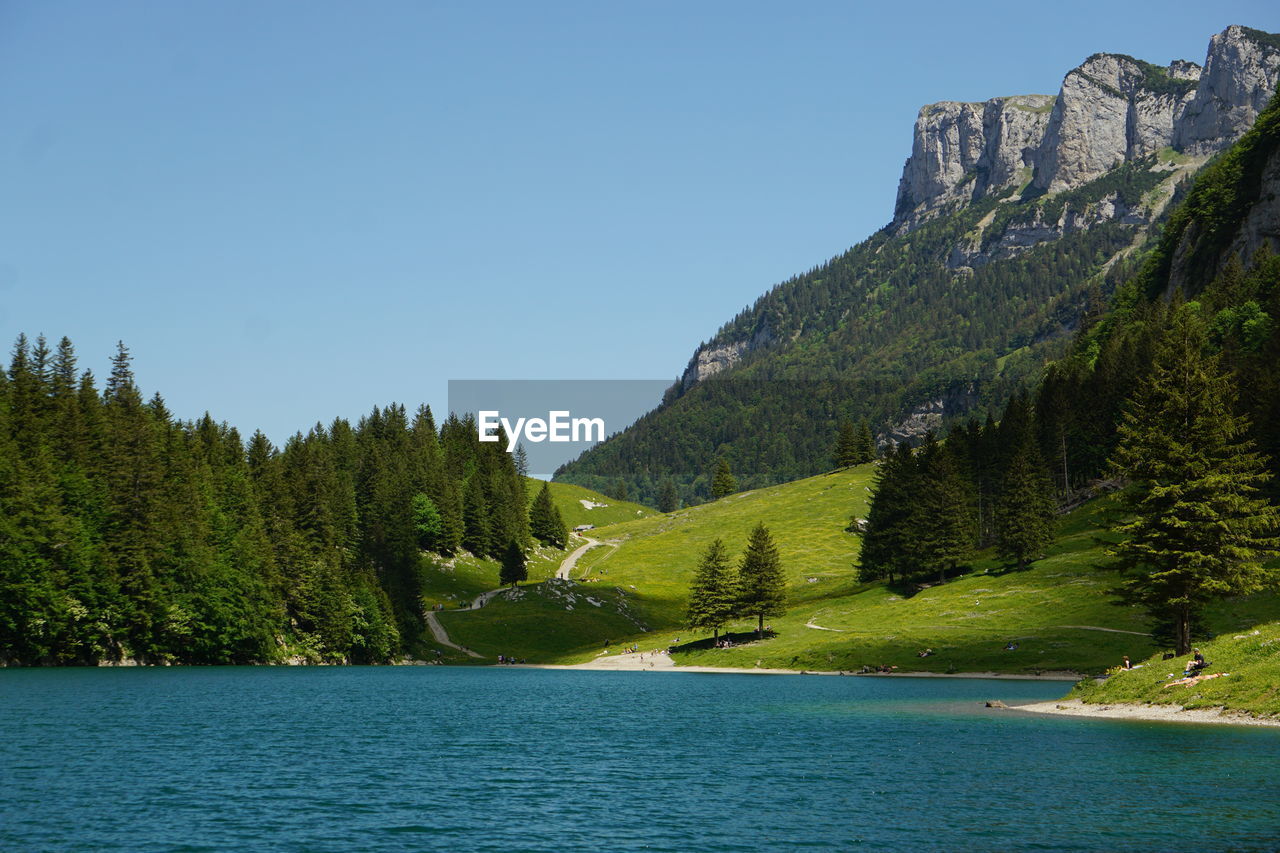 Scenic view of lake by trees against clear sky