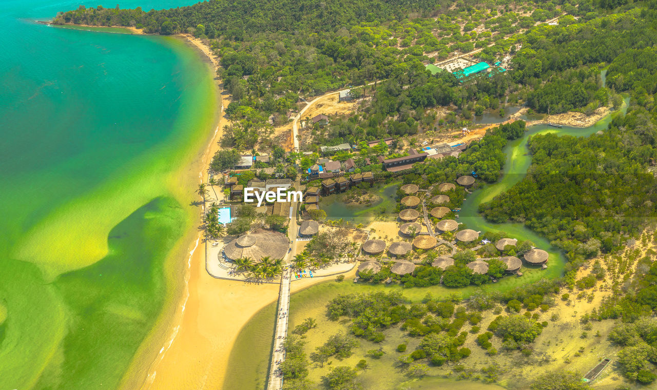 High angle view of trees by sea