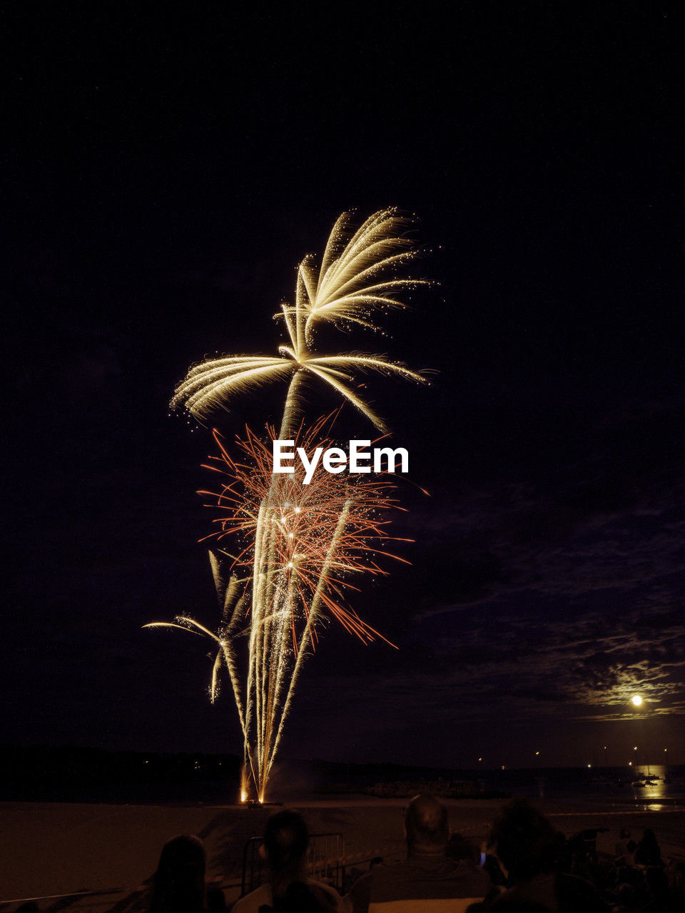 fireworks, night, illuminated, celebration, firework display, event, motion, arts culture and entertainment, exploding, sky, nature, firework - man made object, long exposure, group of people, recreation, glowing, new year's eve, outdoors, sparkler, water, blurred motion, darkness, men