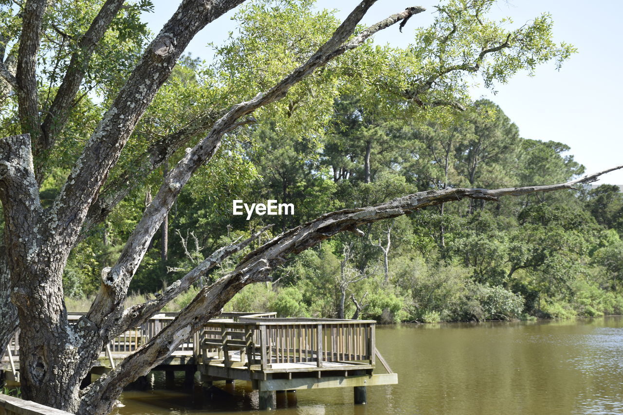 Built structure by trees against sky