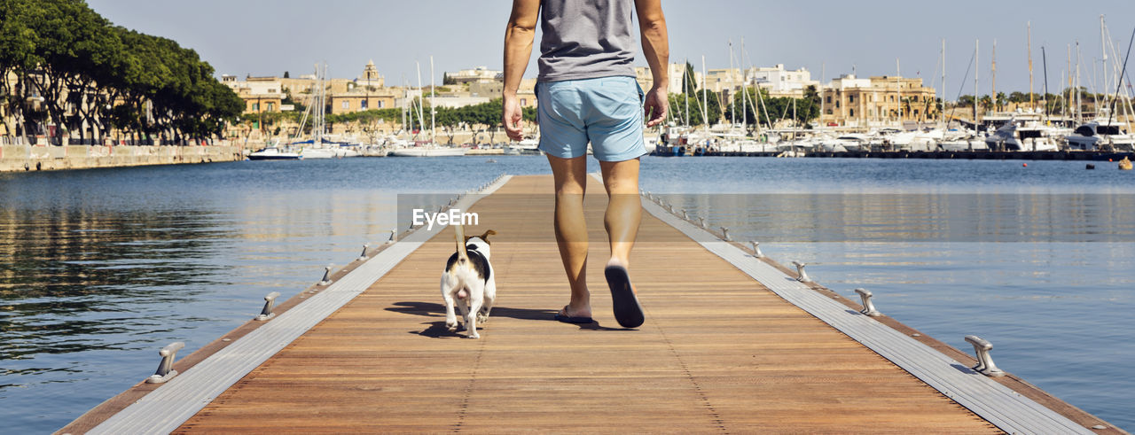 Low section of man walking with dog on pier over sea