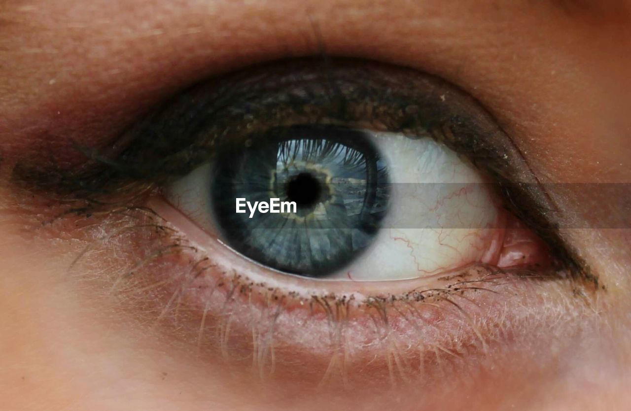Close-up of gray eyes