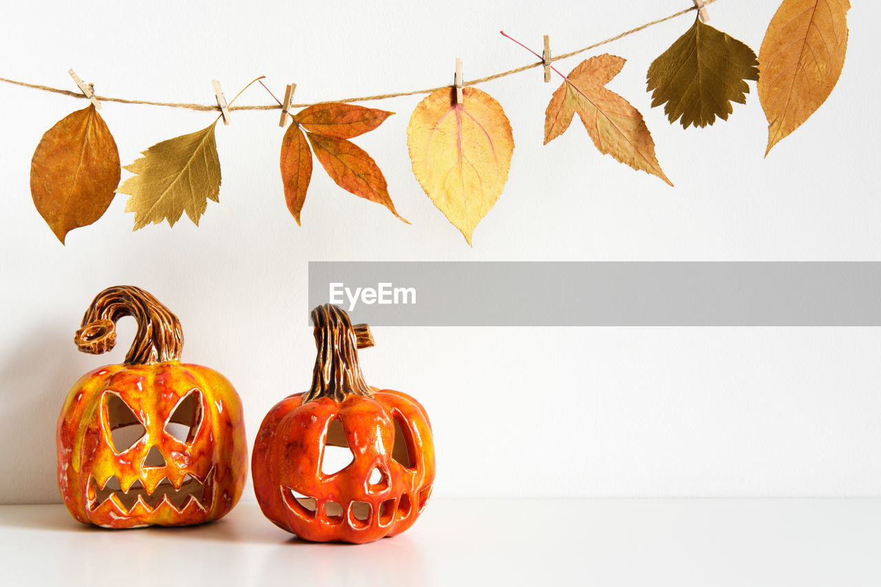 VIEW OF PUMPKINS AGAINST WHITE BACKGROUND