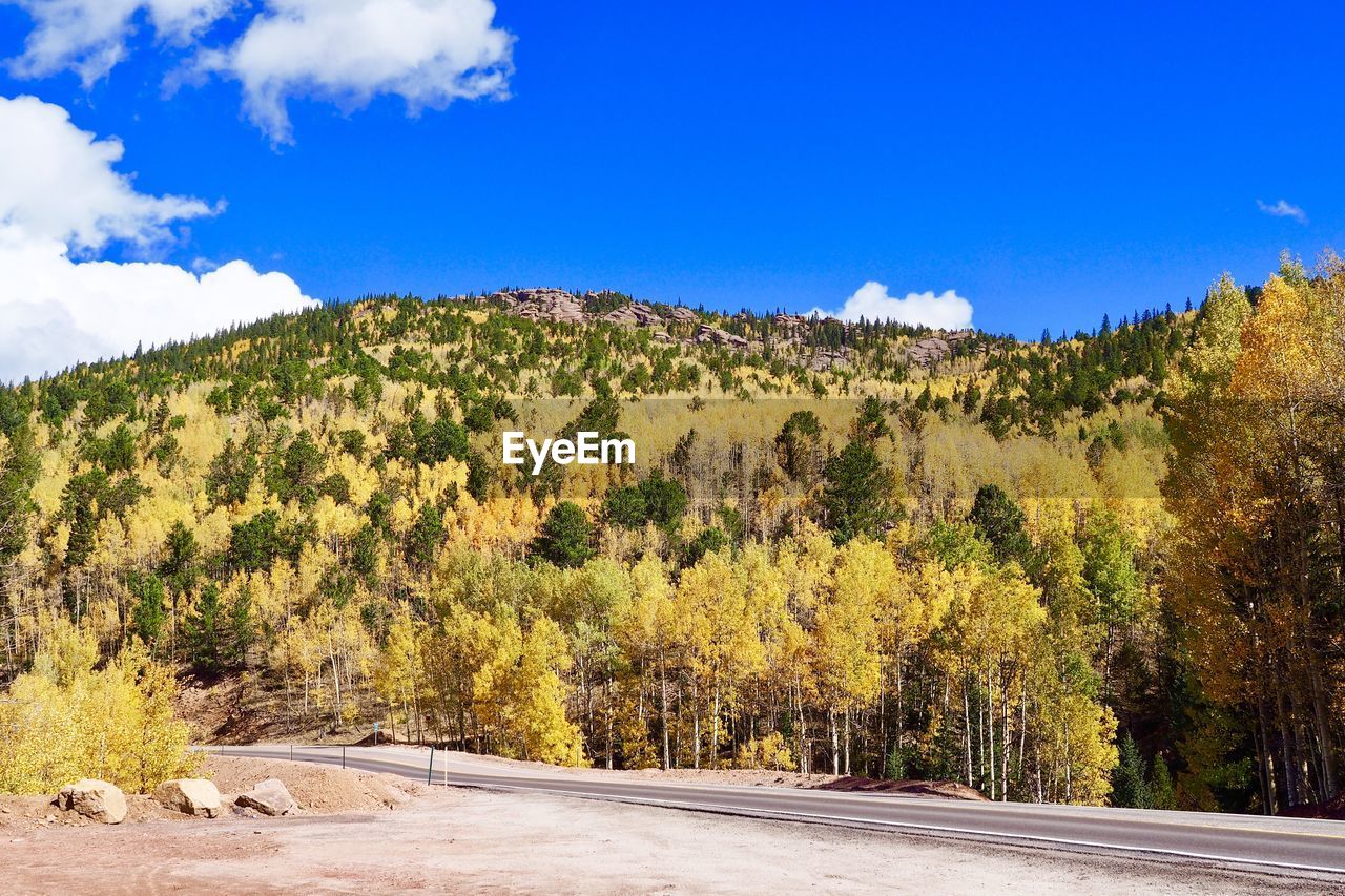 Scenic view of road amidst trees against blue sky