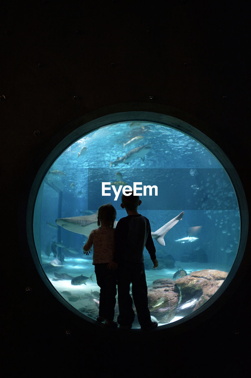 Siblings looking at fish while standing in aquarium