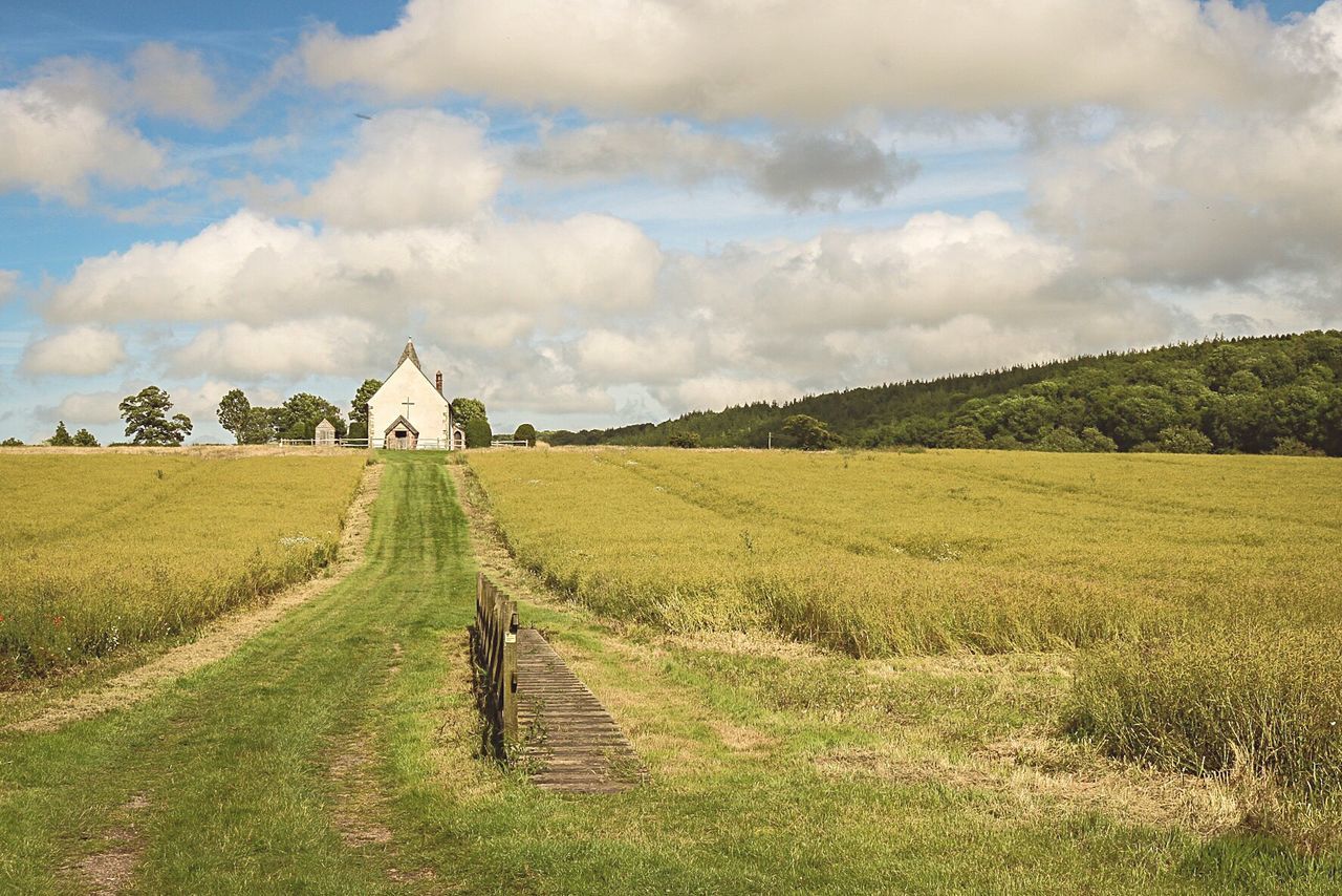 Panoramic view of agricultural field against cloudy sky