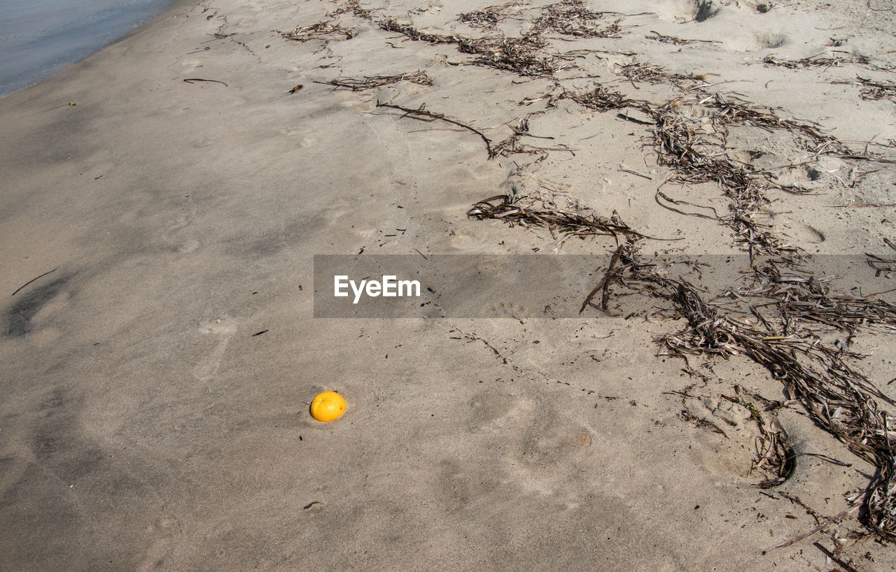 HIGH ANGLE VIEW OF YELLOW BALL ON BEACH