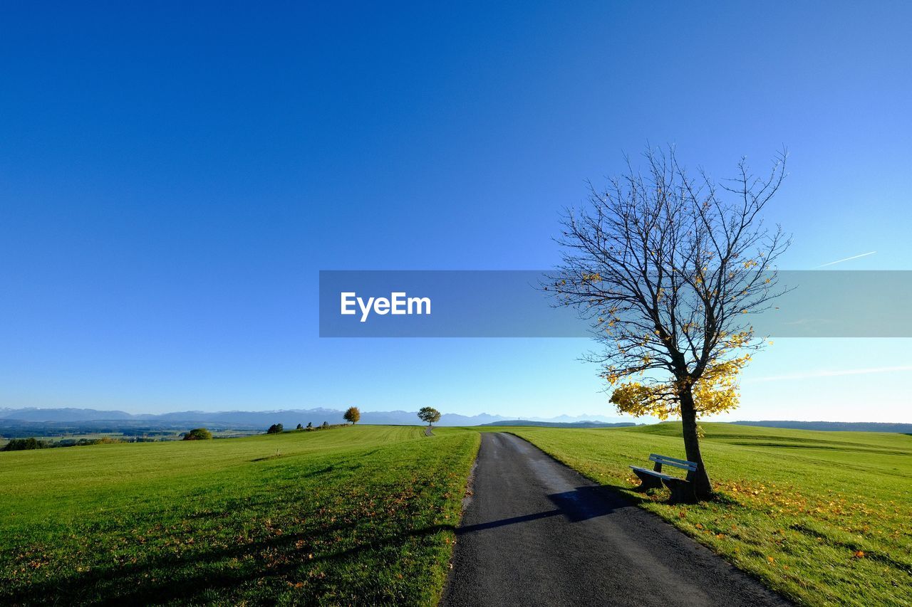 Scenic view of agricultural field against clear blue sky