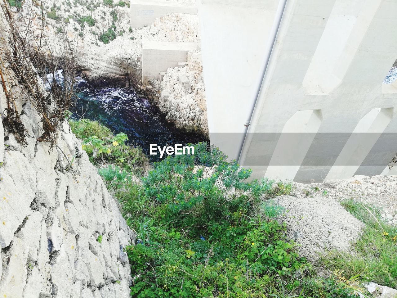 HIGH ANGLE VIEW OF PLANTS AGAINST BUILT STRUCTURES