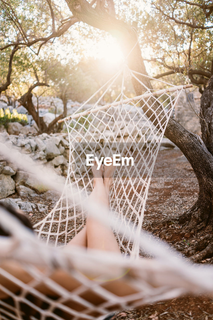 Midsection of woman relaxing on hammock by tree