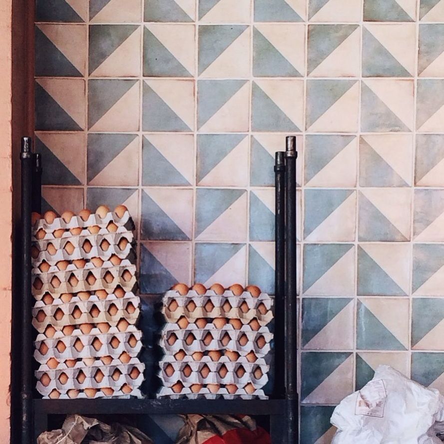 Egg cartons indoors