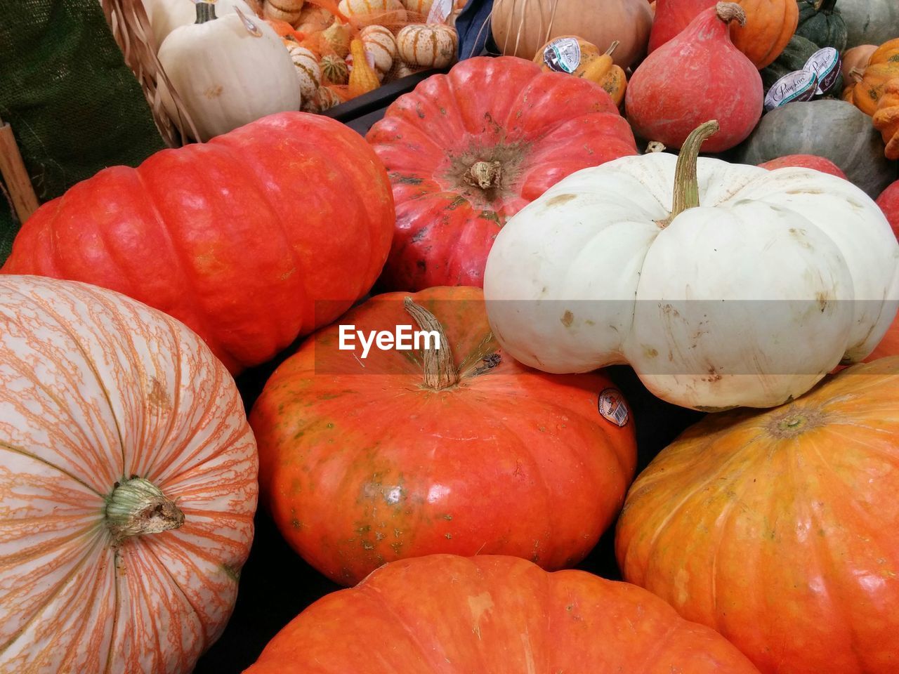 Close-up of pumpkins for sale at market