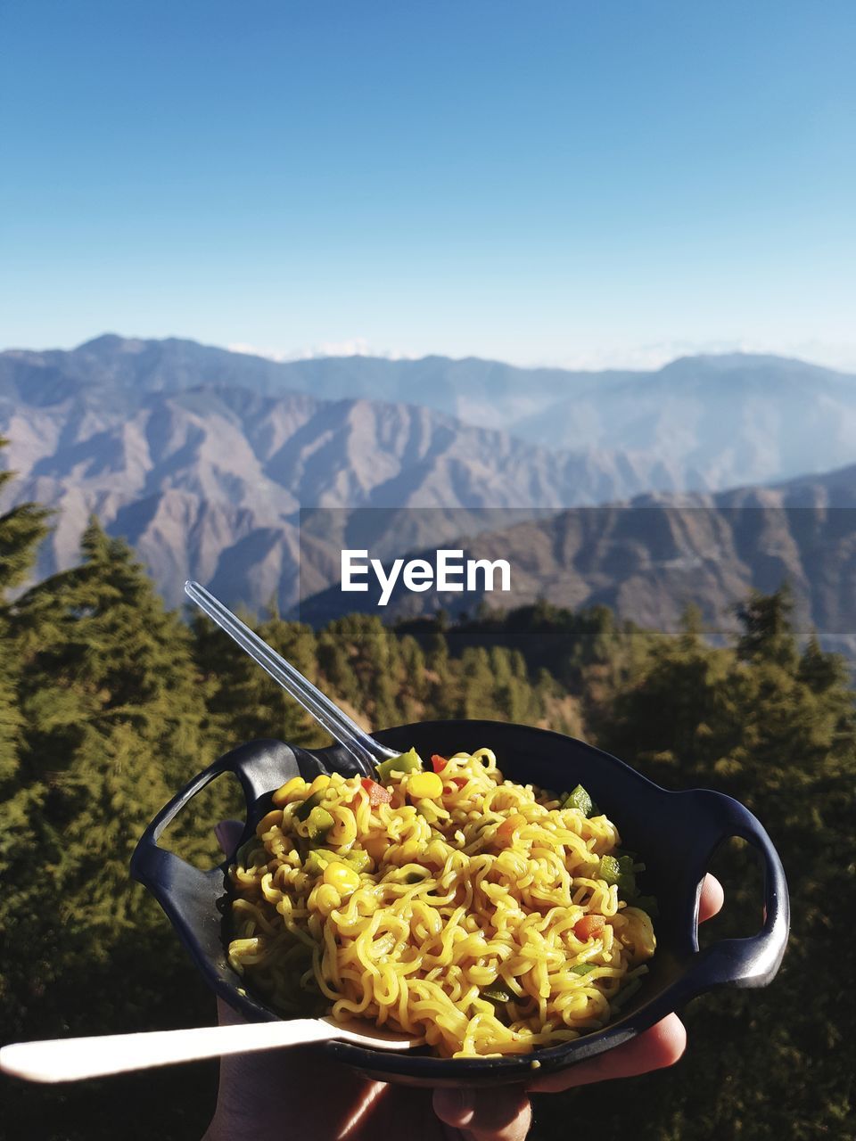 CLOSE-UP OF RICE ON MOUNTAIN AGAINST SKY